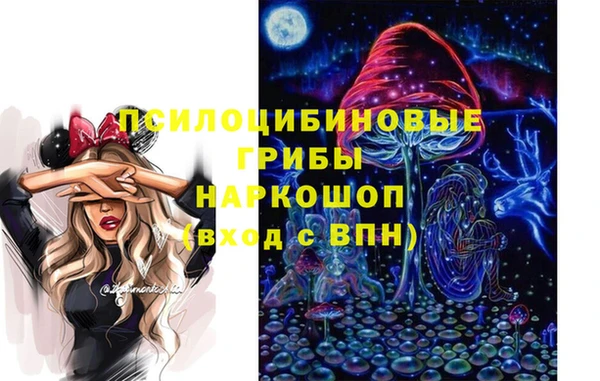 стафф Алексин