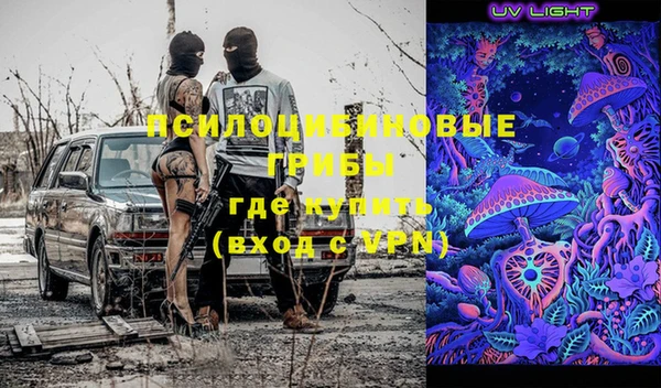стафф Алексин
