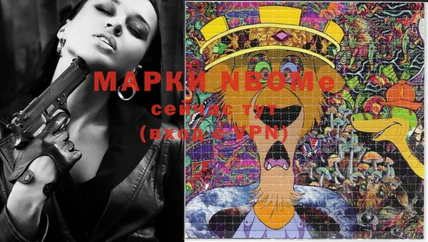 стафф Алексин