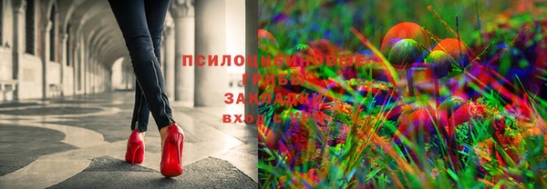2c-b Абинск
