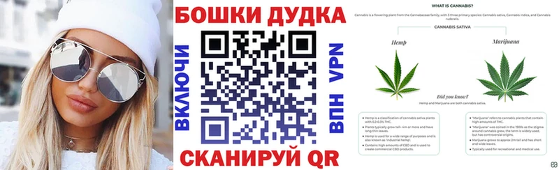 Каннабис сатива купить наркотики сайты Элиста